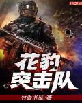 花豹突击队小说完整版