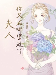 夫人你又在哪里玩了小说免费阅读全文