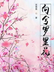 烟罗里免费阅读