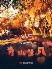 小说风过青山
