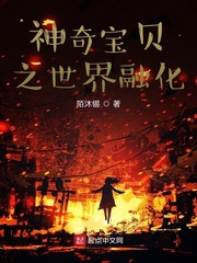 融合神奇宝贝世界的小说