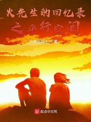 火先生的回忆录小说