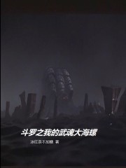斗罗大陆之我的武魂是魂环 小说