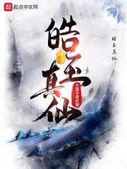 皓玉真仙小说无错