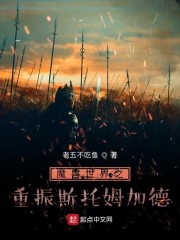 重生之魔兽世界mianfei
