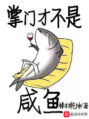 掌门小说下载