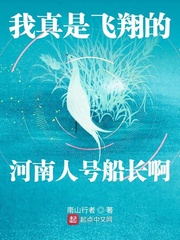 我真的是飞翔的河南人号船长小说