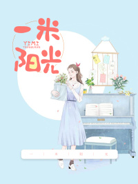 小说叫什么名字