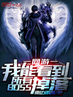 我可以看到所有boss