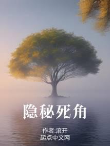 隐秘死角小说TXT百度云