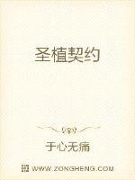 圣契什么意思