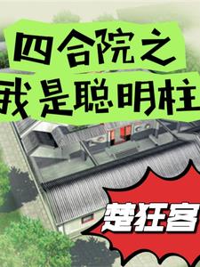 四合院:我!傻柱!开局