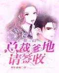 一胎三宝:总裁爹地请签收苏筱筱