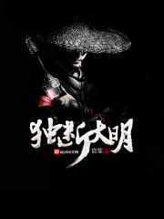 独断大明小说txt免费
